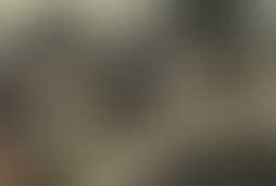 Фотография ролевого квеста Заражение (Морфеус) от компании Oz (Фото 1)