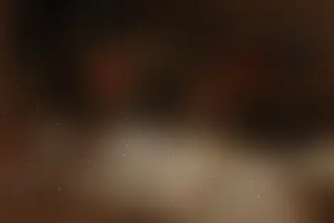 Квиз «Эйнштейн Party» от Эйнштейн Party