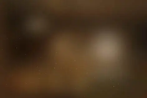Квест «Честное пионерское» от Лабиринт